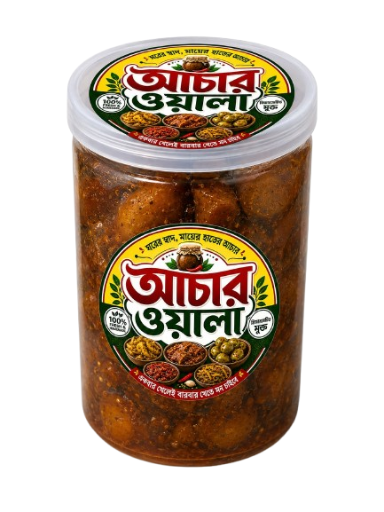 আচার ওয়ালার ঐতিহ্যবাহী গাব ও আমসত্ত্ব আচার — মায়ের হাতের স্বাদ